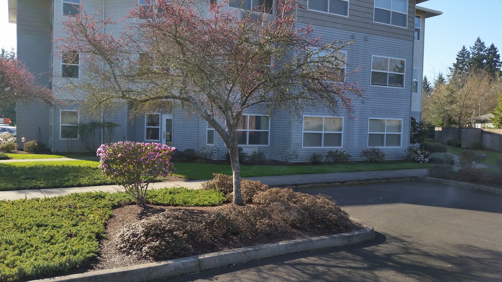 Prestige Senior Living Southern Hills