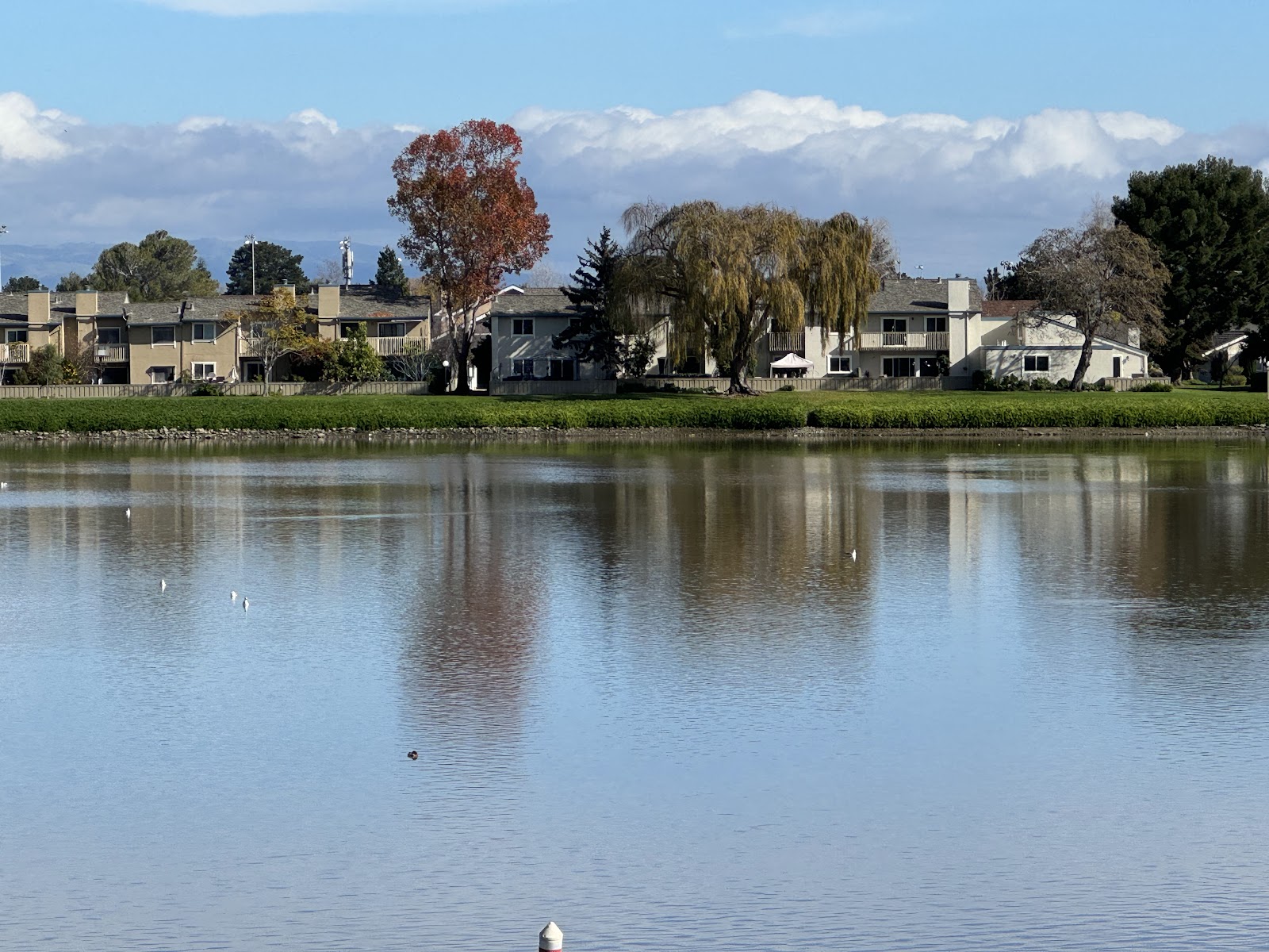 Atria Park of San Mateo