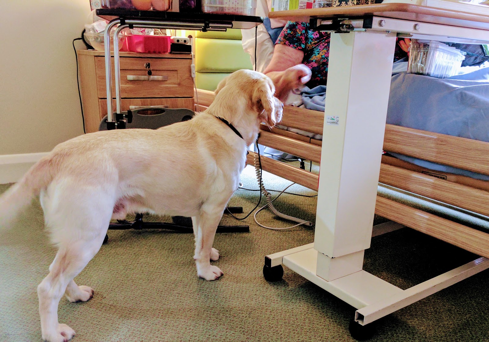 Woodland Hall Care Home - Care UK