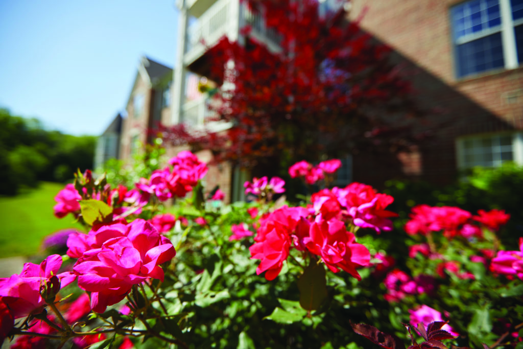 The Villas at St. Therese - Independent Living