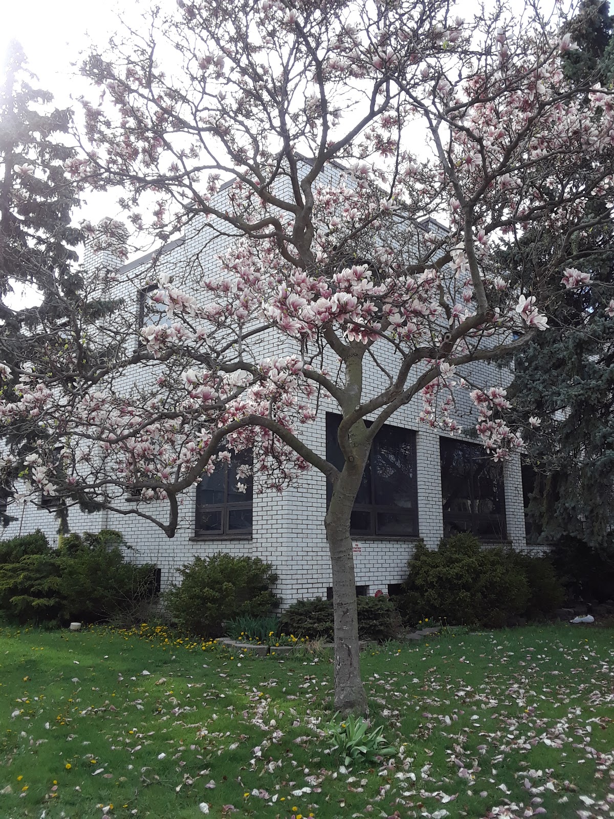 Victoria Manor Supportive Housing