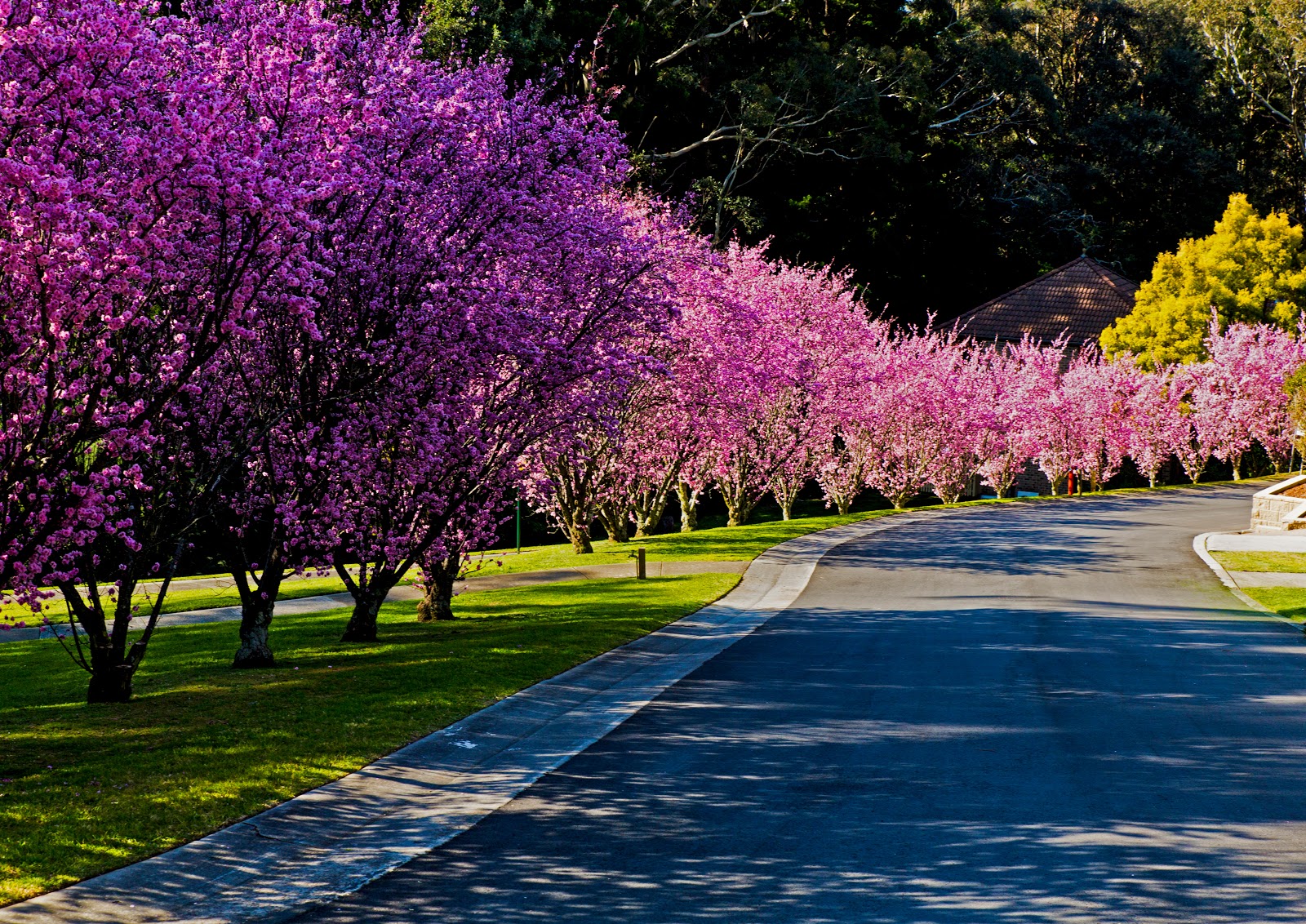 Buckland Aged Care Services