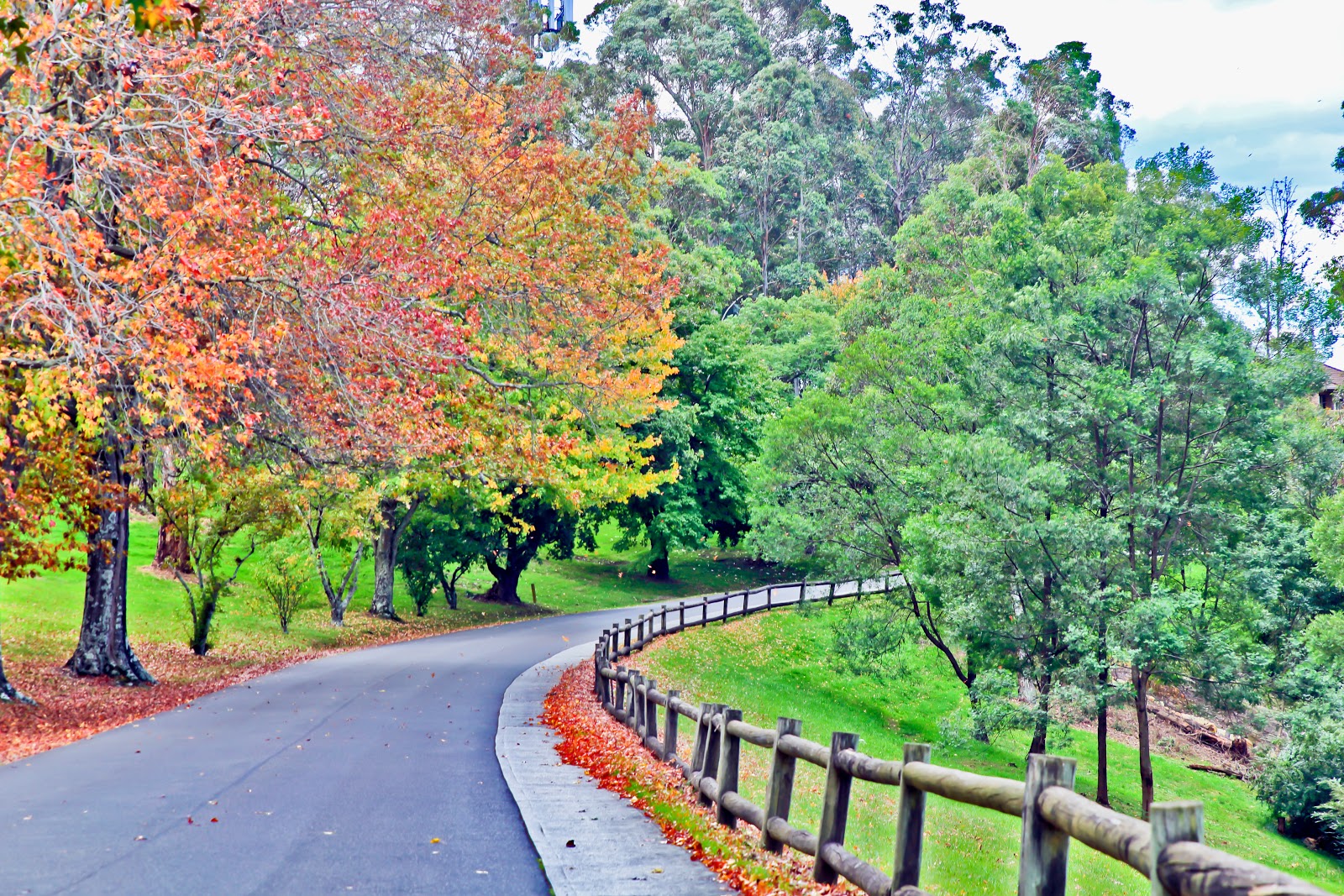 Buckland Aged Care Services