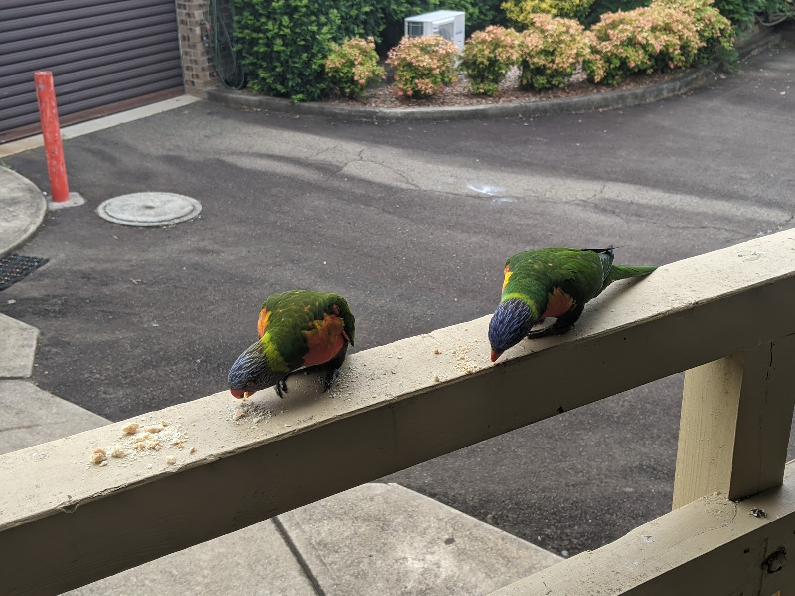 Buckland Aged Care Services