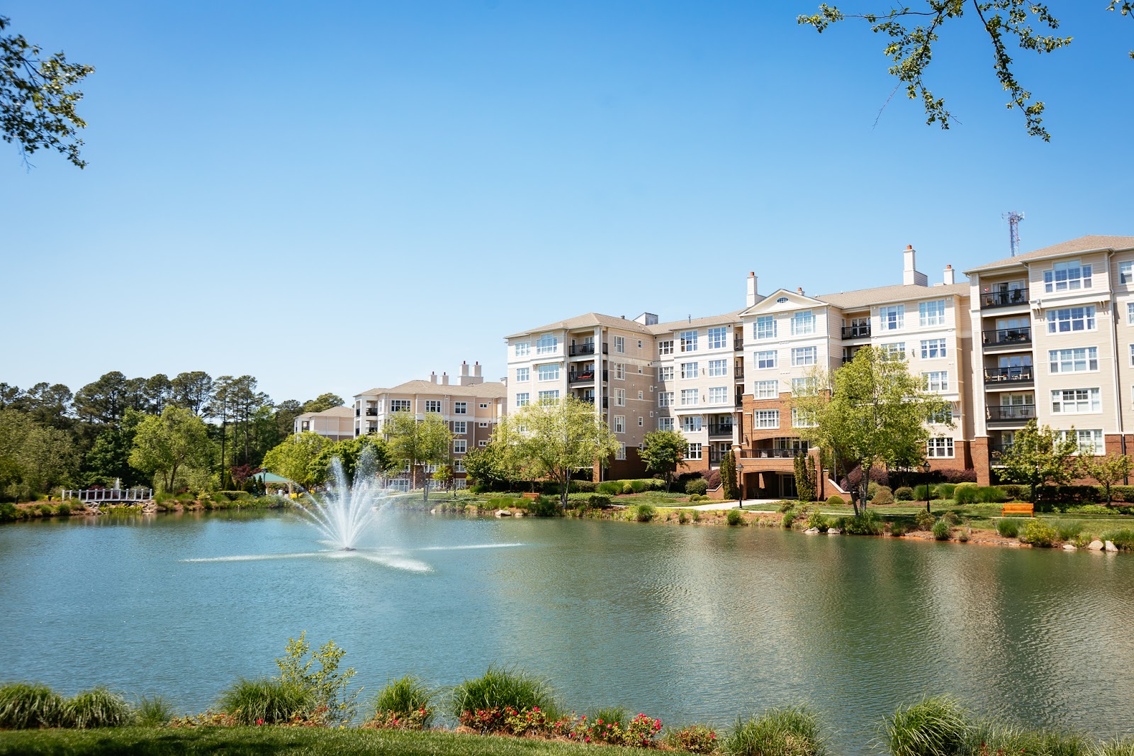 The Cypress of Raleigh