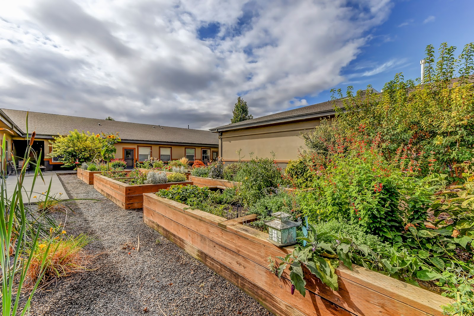 Grace Assisted Living