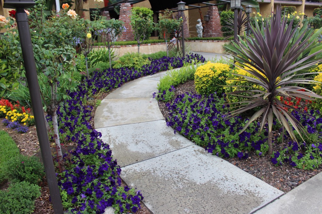 Arcadia Gardens Retirement Hotel