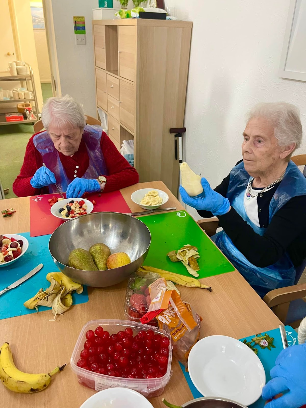 Green Willow Residential Care Home