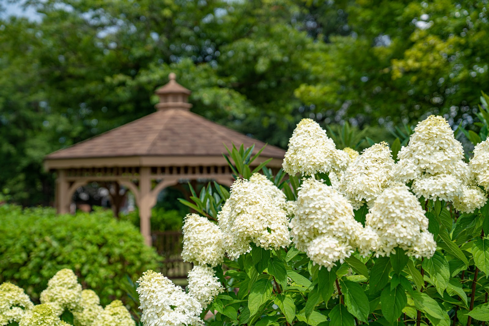 Bridgewater Retirement Community