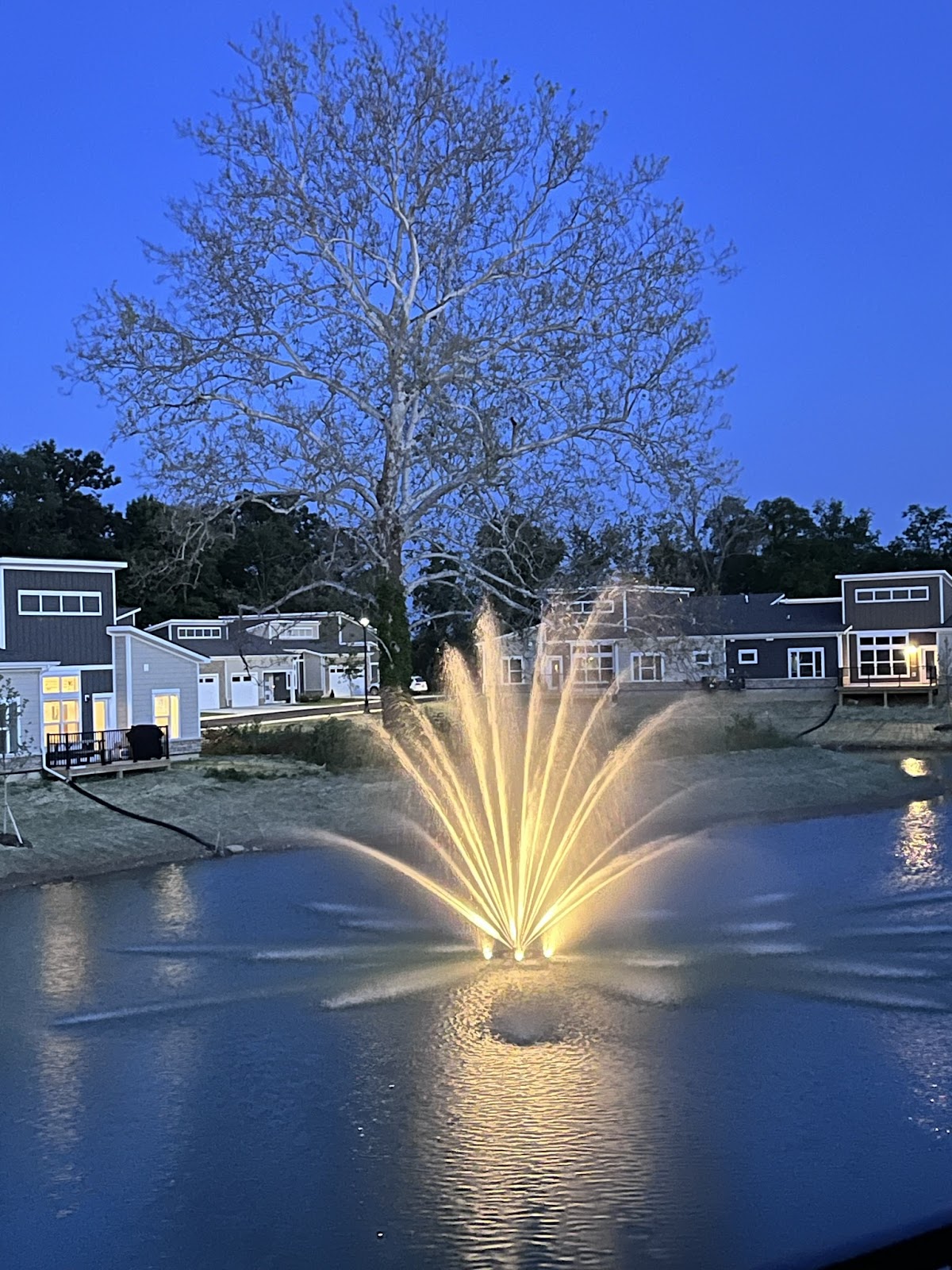 Dogwood Commons