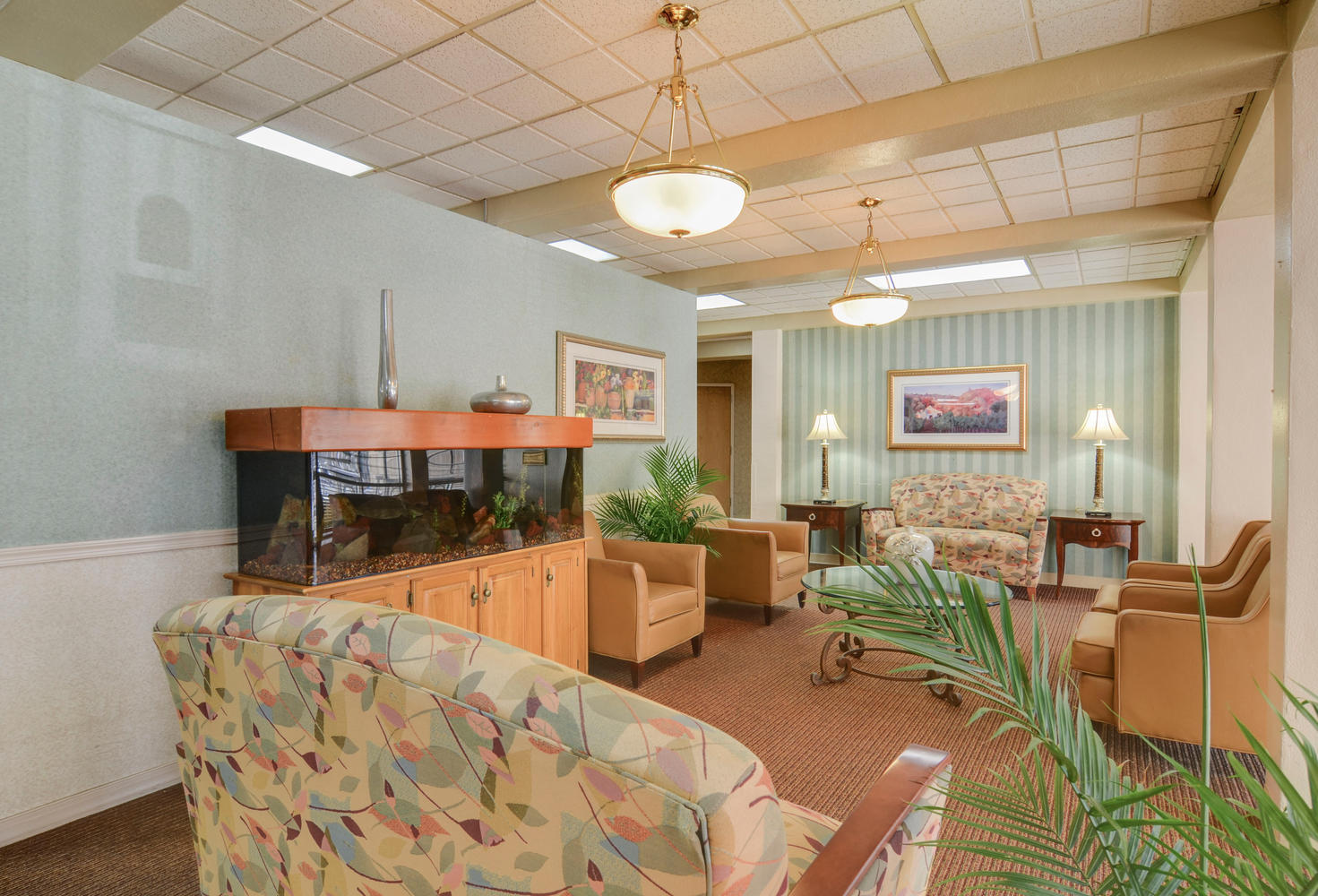 Adelphi Nursing and Rehabilitation Center