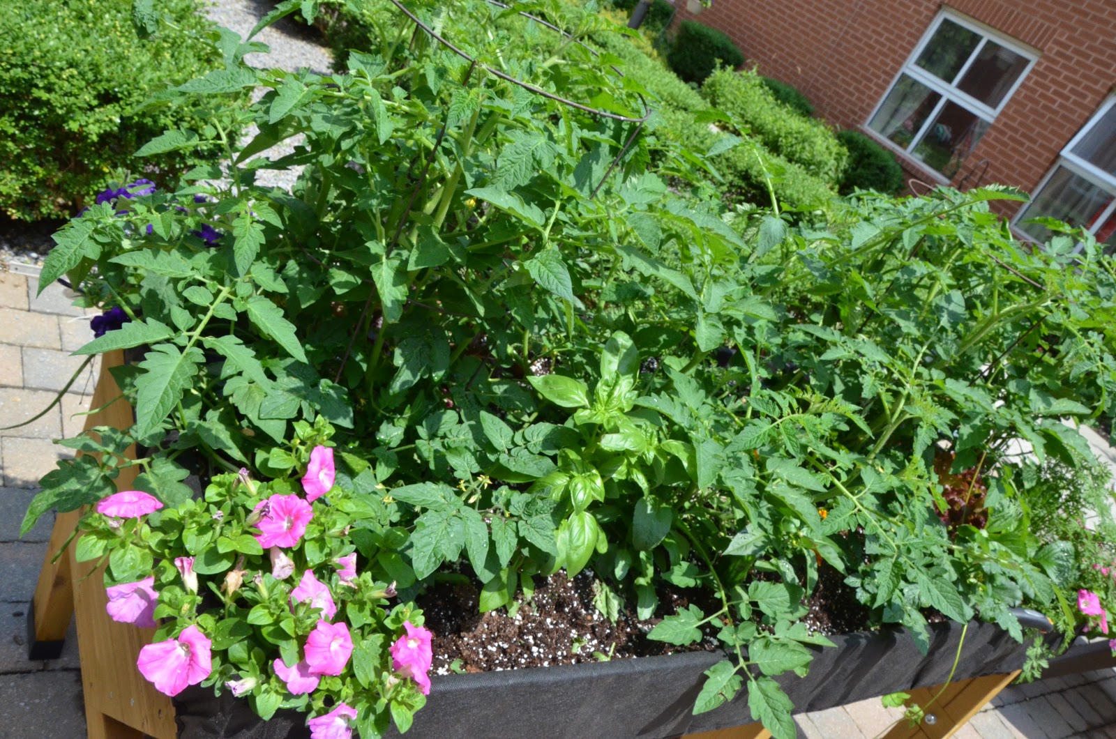 Langstaff Square Care Community