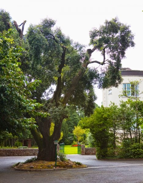 Newtownpark House Nursing Home