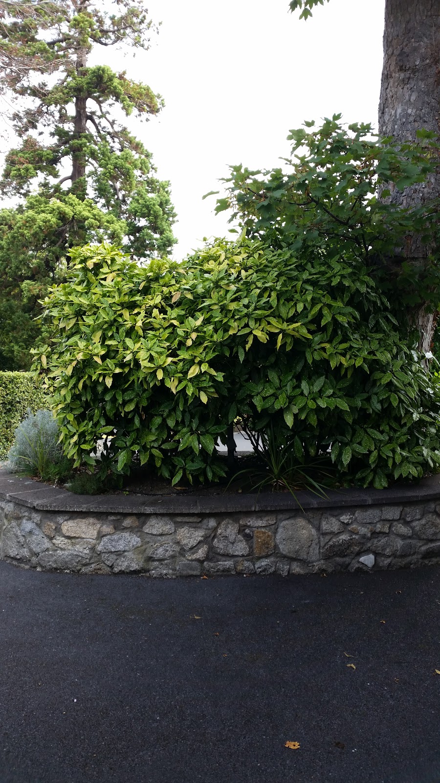 Newtownpark House Nursing Home