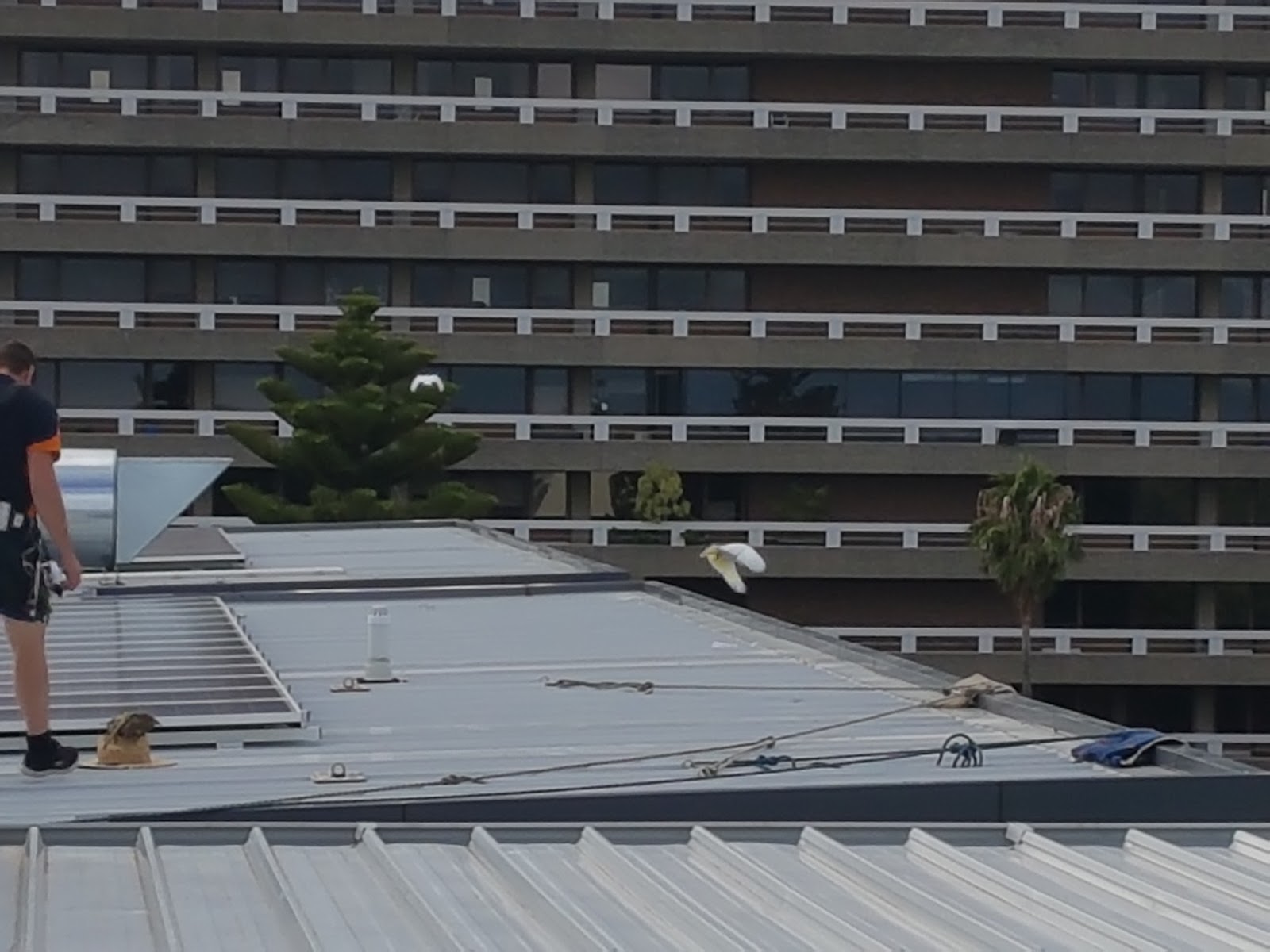 Living Choice Fullarton Retirement Village