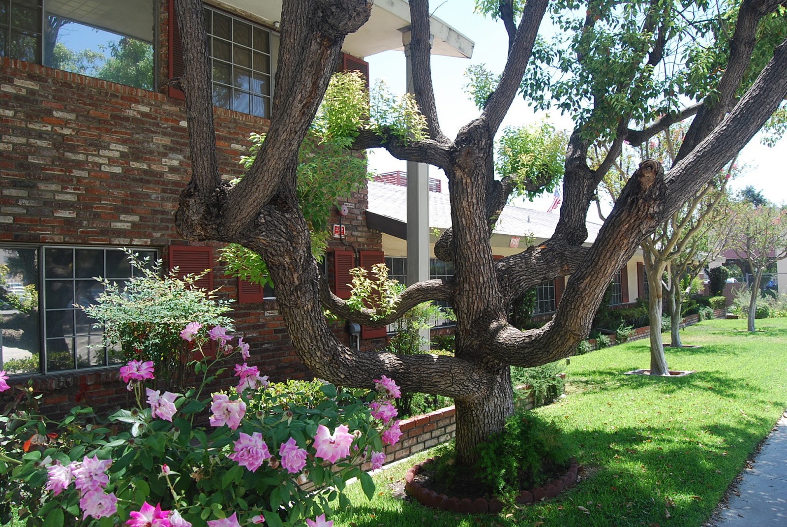 GEM Transitional Care Center