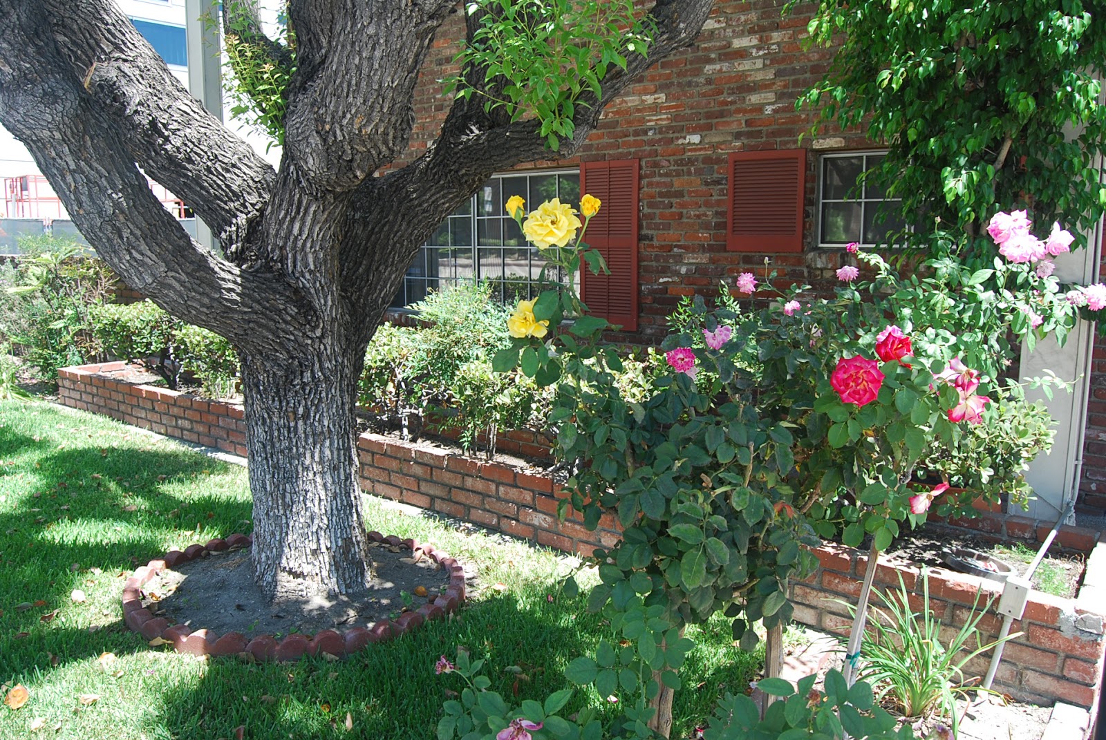GEM Transitional Care Center