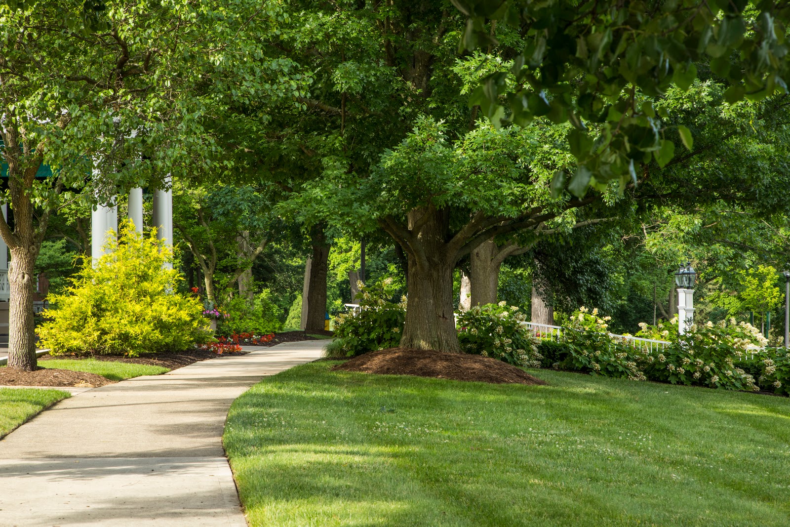 10 Wilmington Place Retirement Community