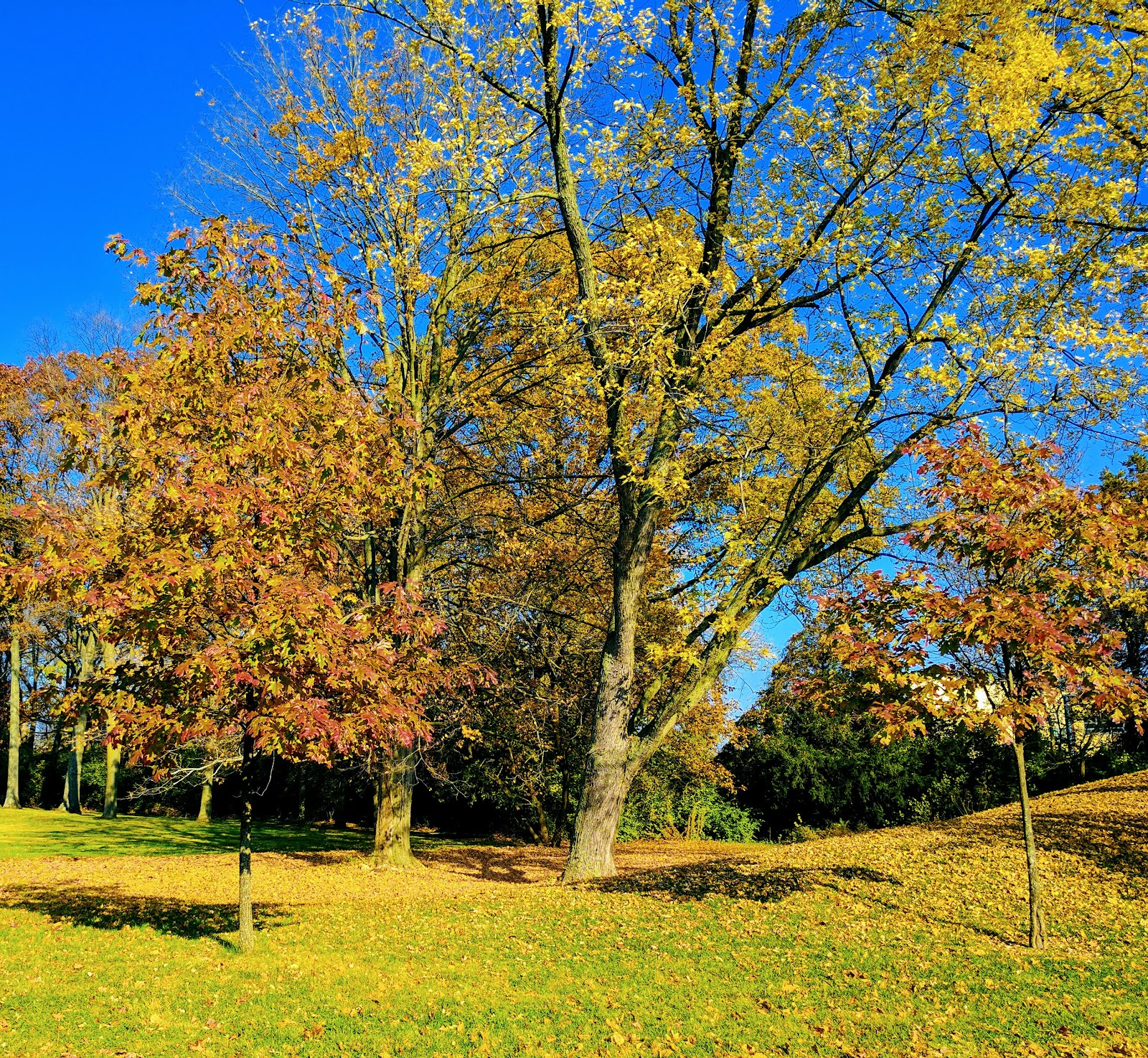 10 Wilmington Place Retirement Community