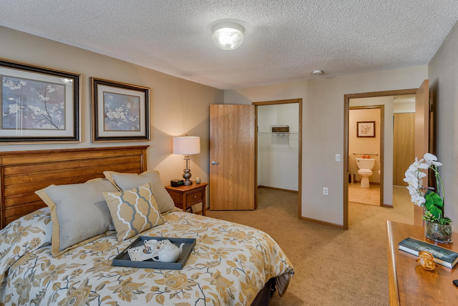 Amira Choice Champlin