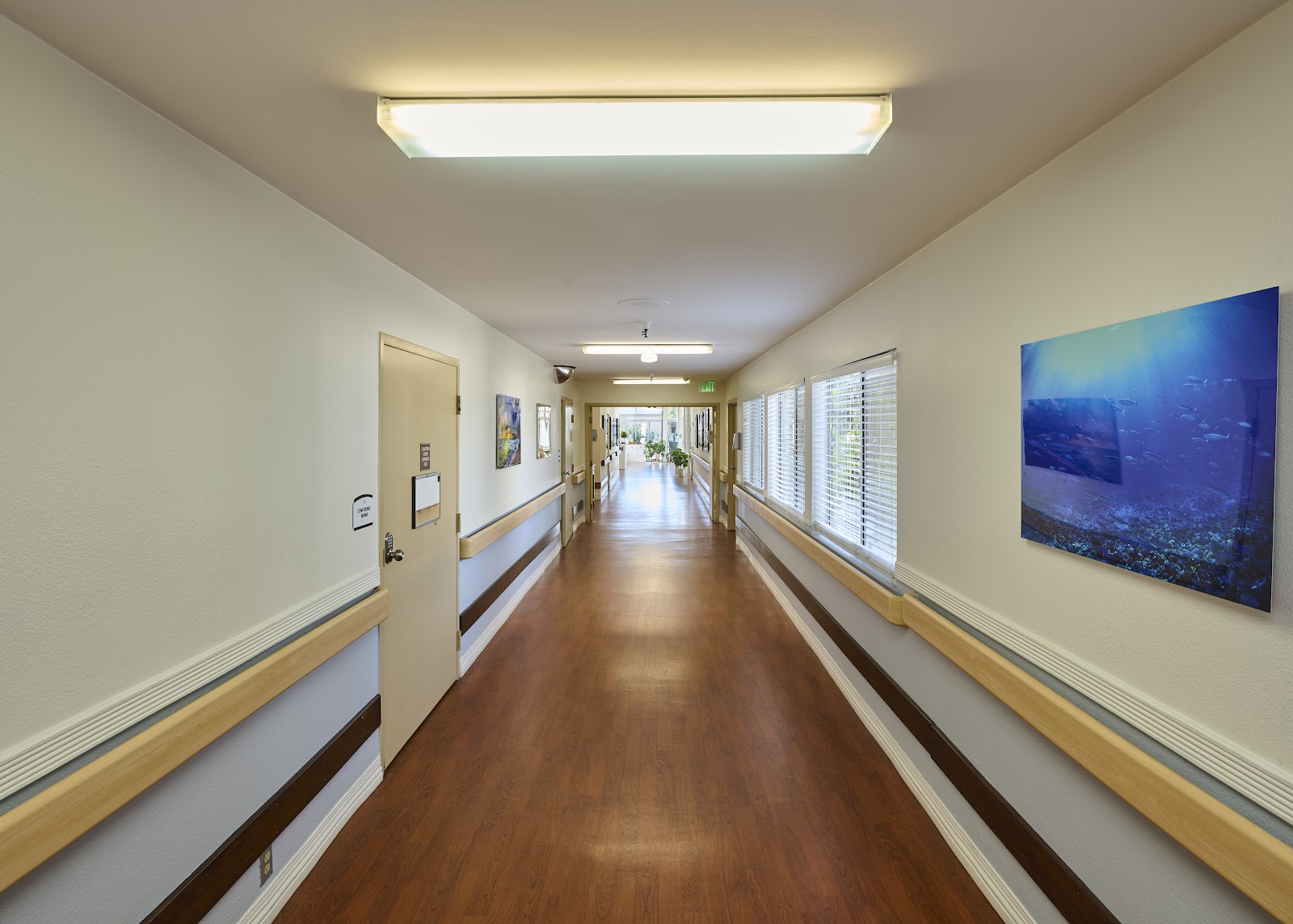Buena Vista Care Center