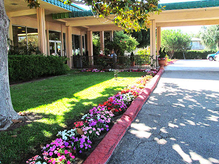 Buena Vista Care Center