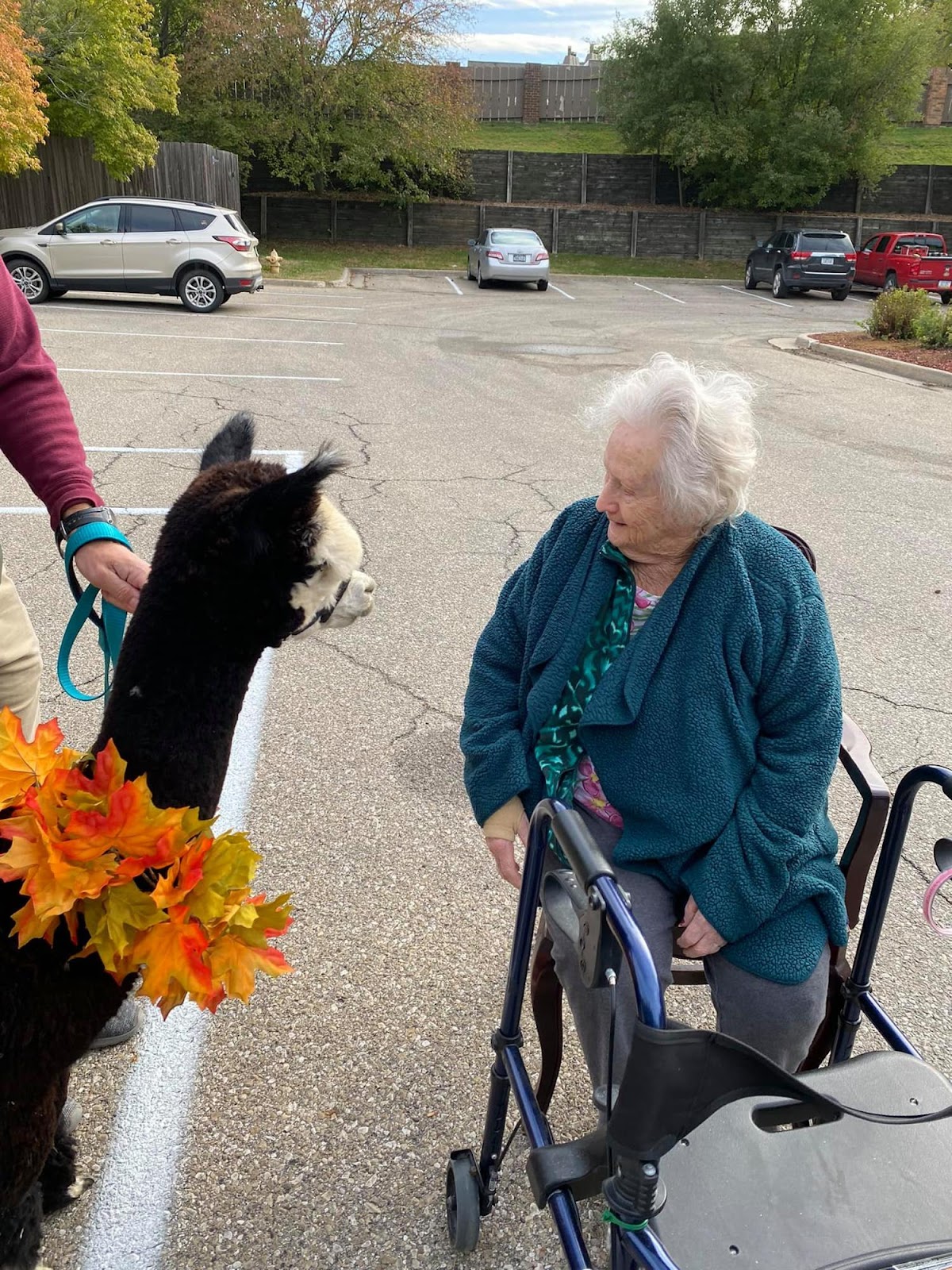 Pine Acres Rehabilitation & Care Center