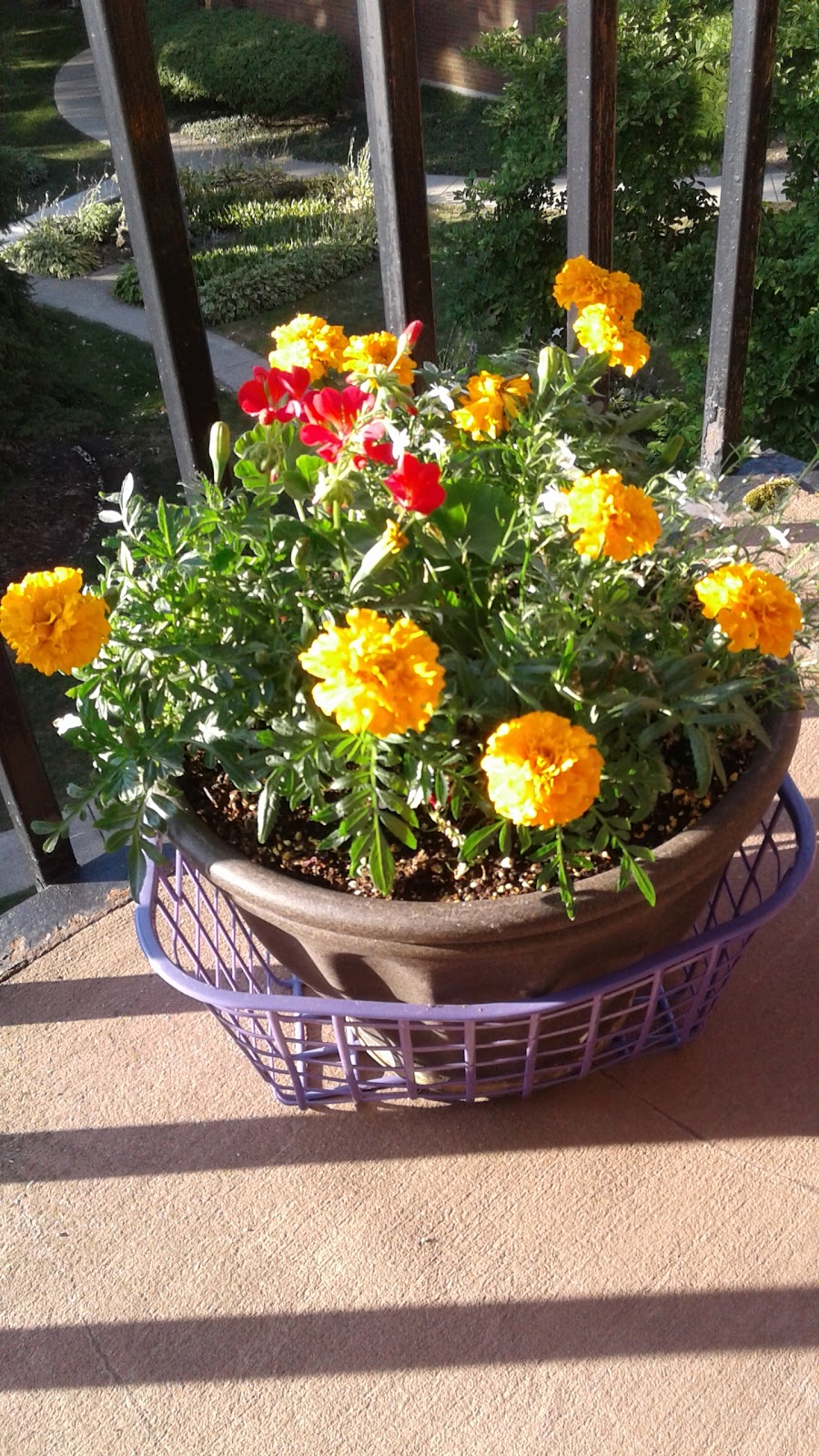 Rocky Mountain Assisted Living Wheat Ridge - 44th Ave