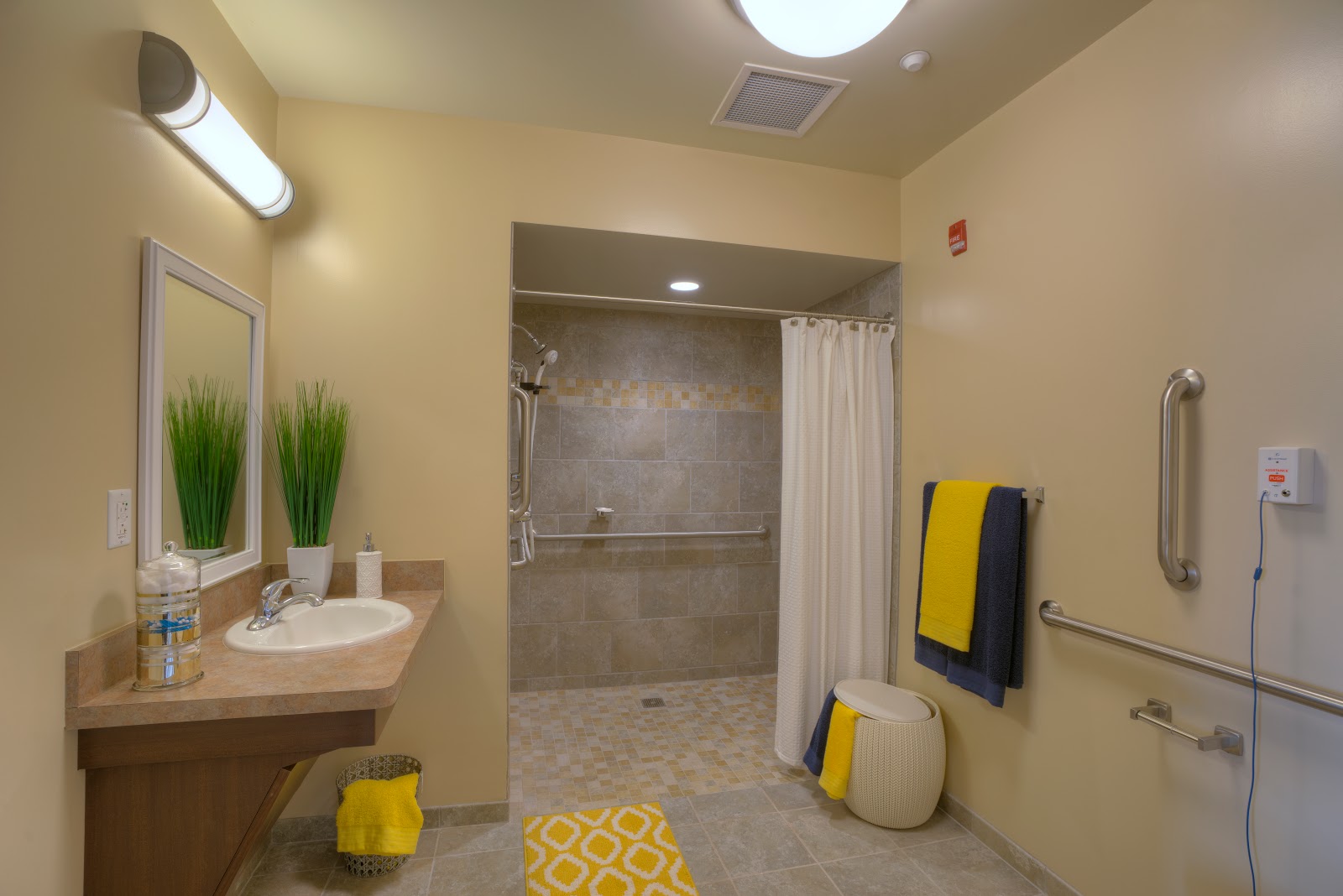 American House Freedom Place Roseville