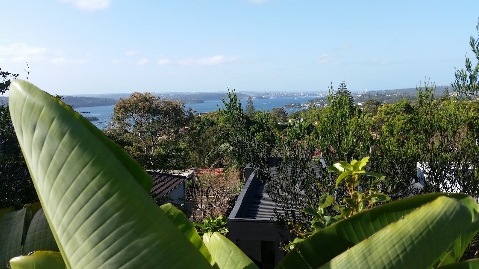 Mark Moran Vaucluse