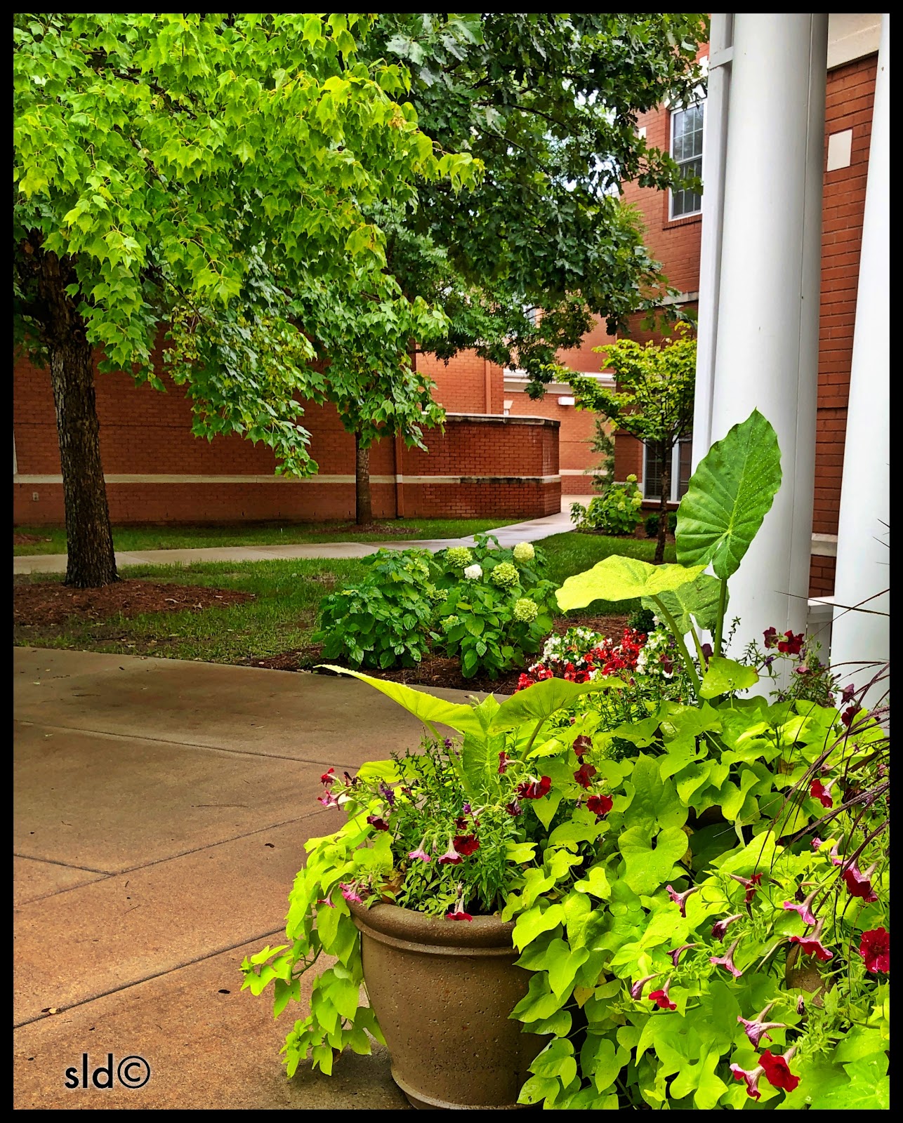 NHC Place, Cool Springs