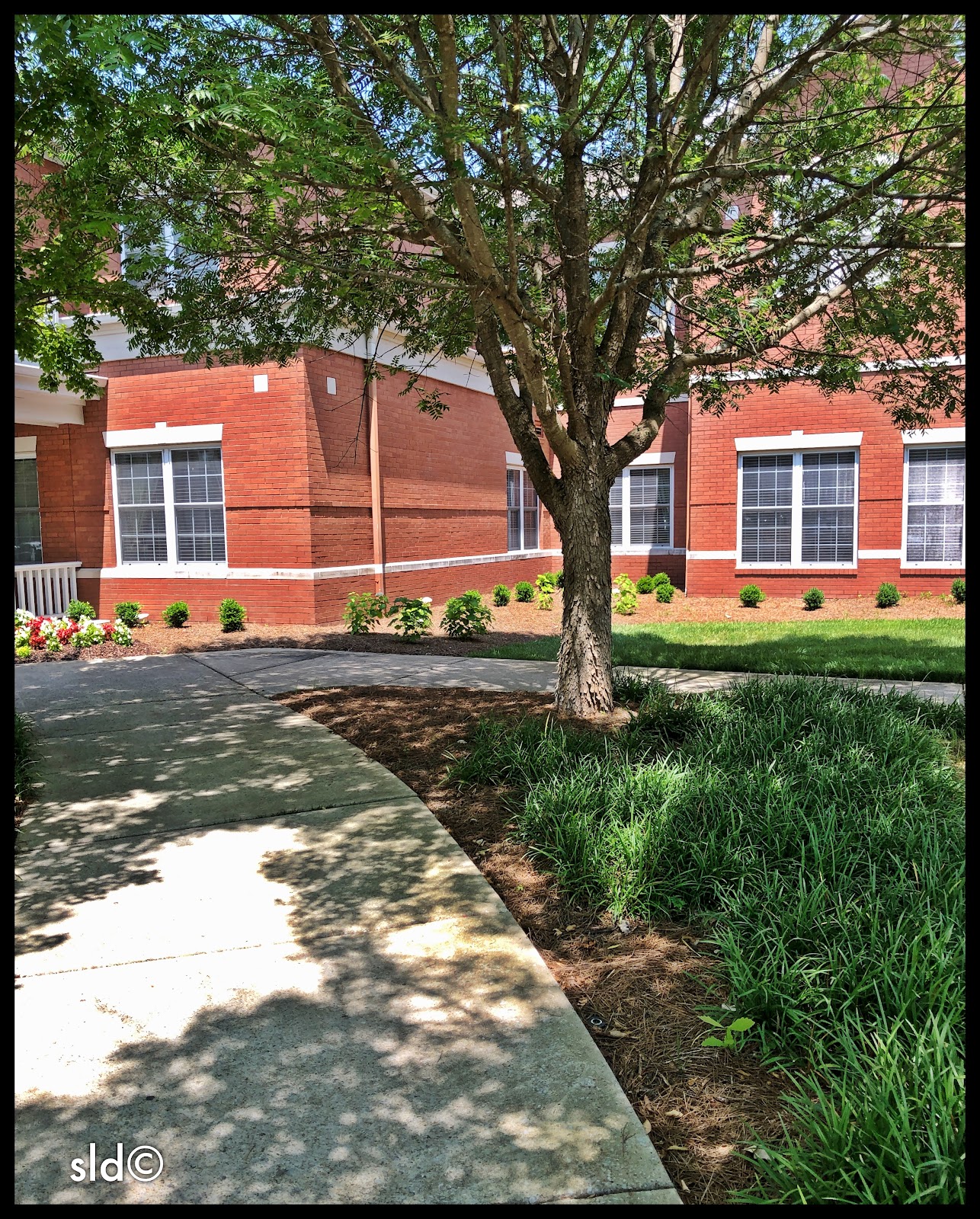 NHC Place, Cool Springs