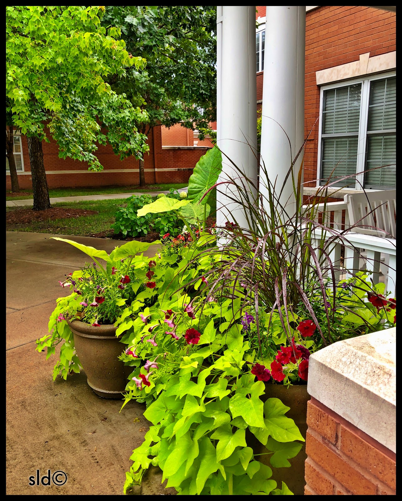 NHC Place, Cool Springs