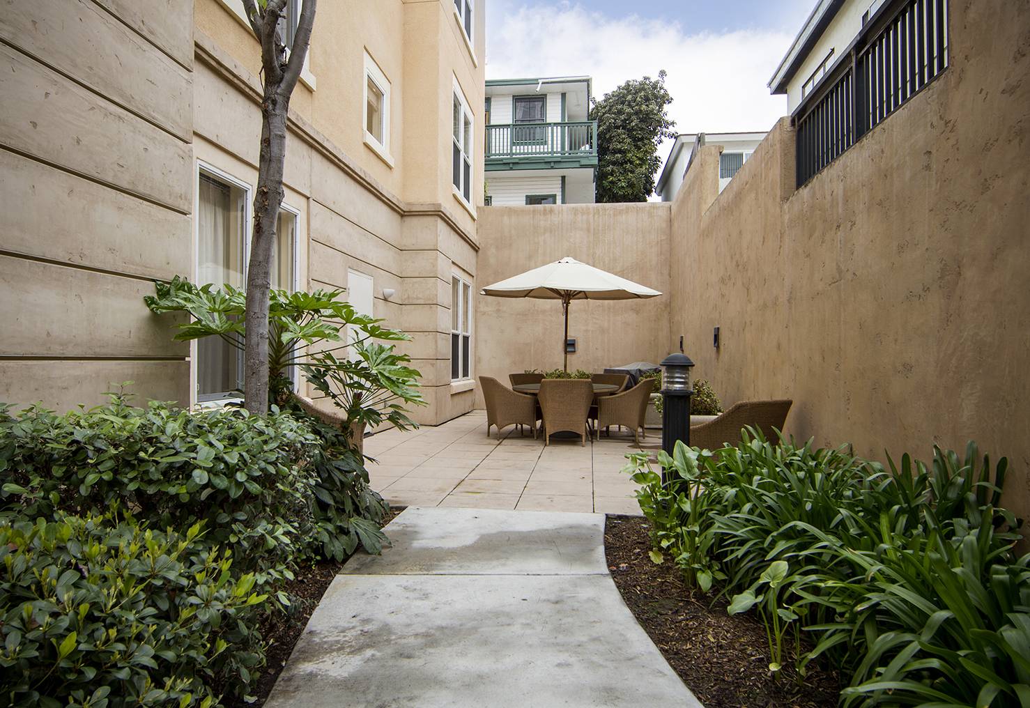 Ivy Park at La Jolla