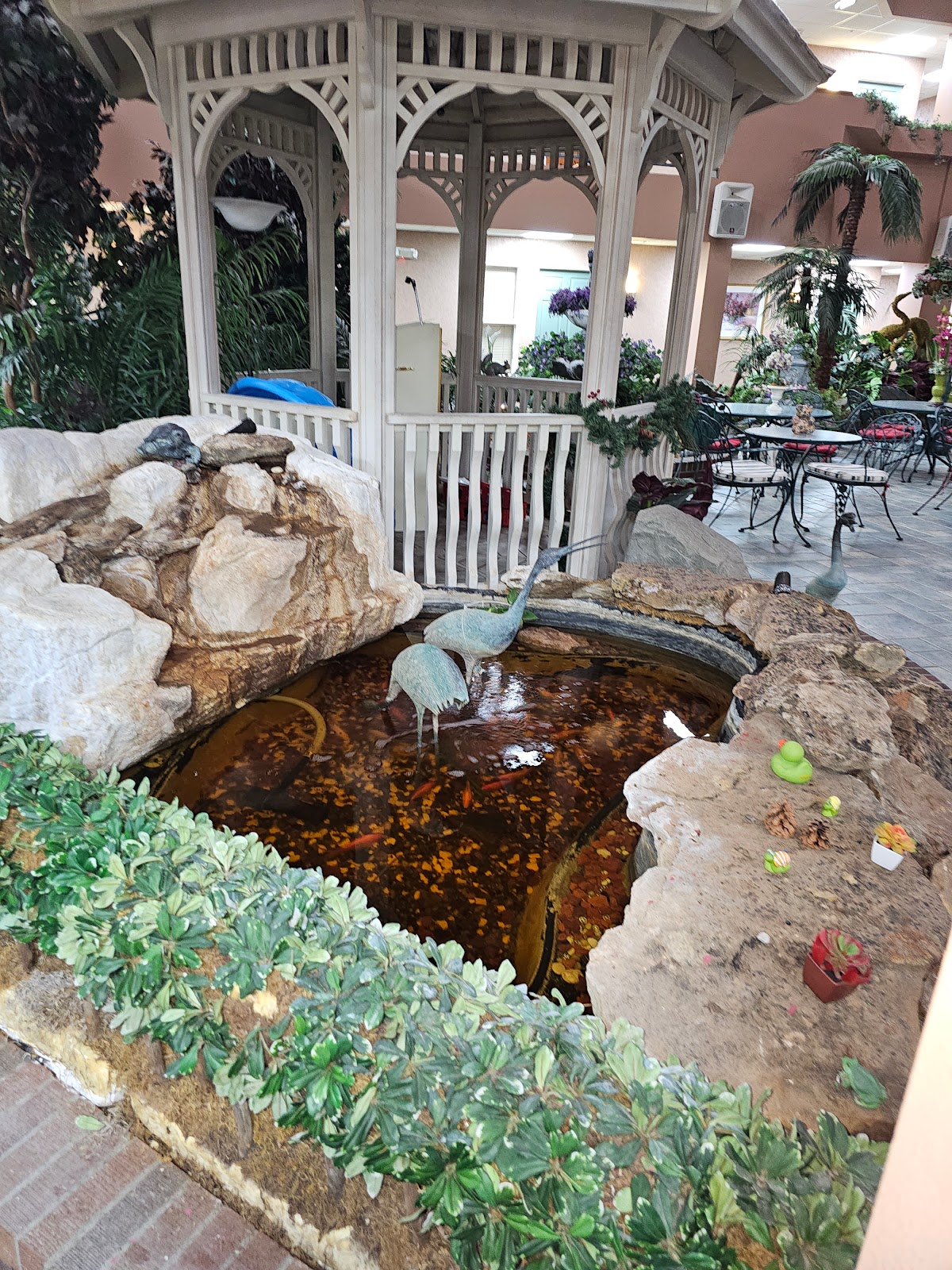 The Rainbow Senior Living