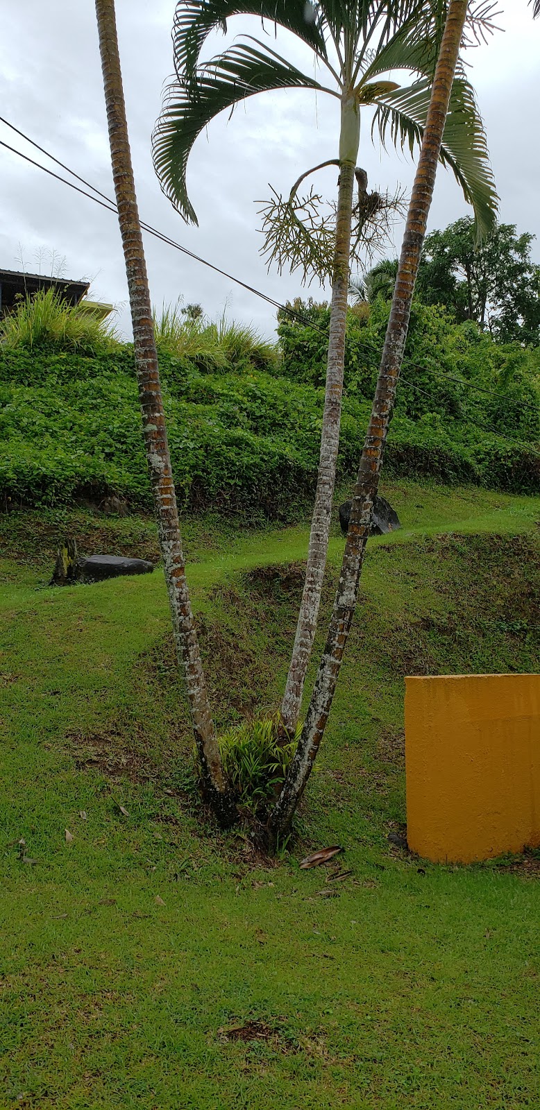 Hogar Vista Serena
