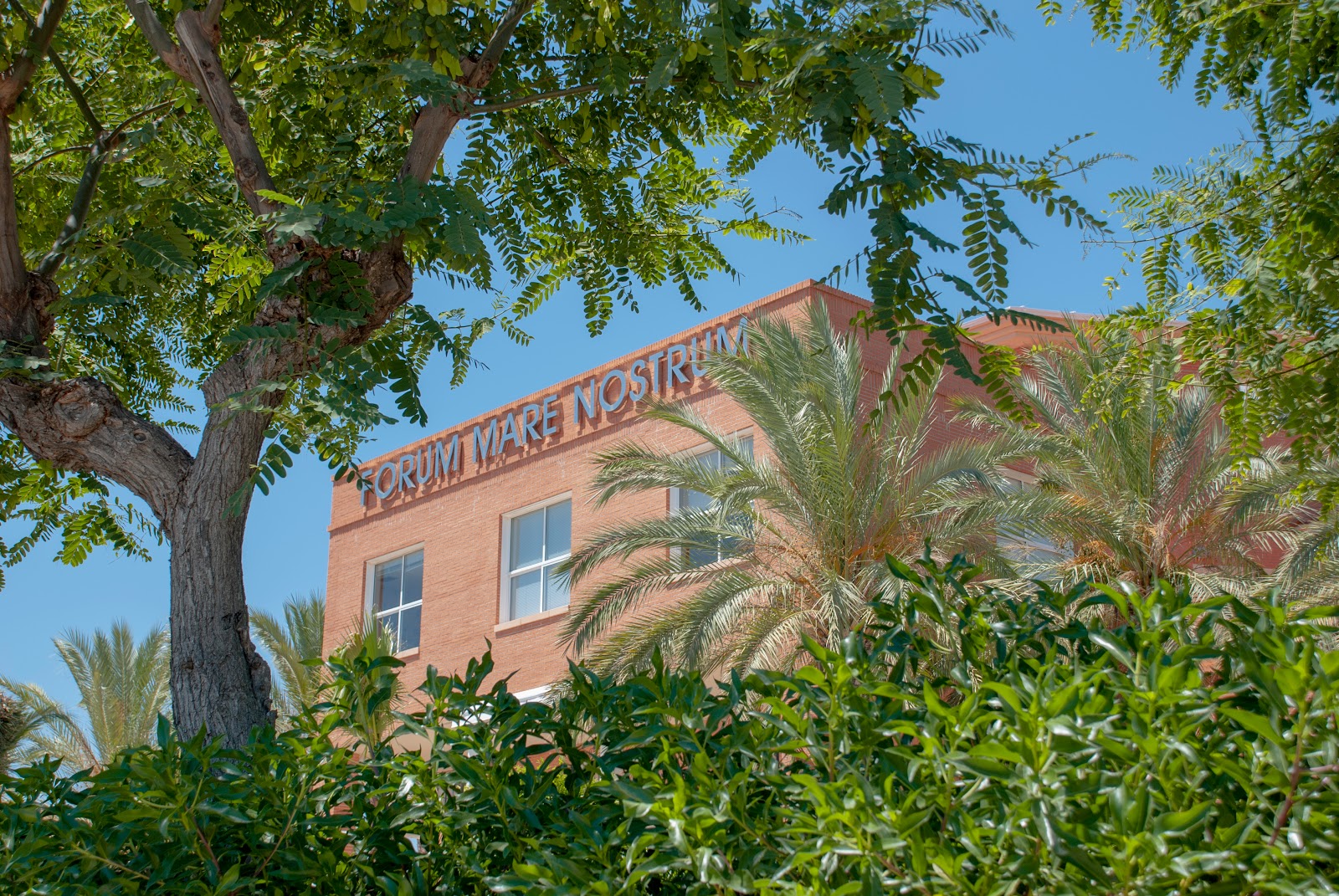 THE COMM Senior Living