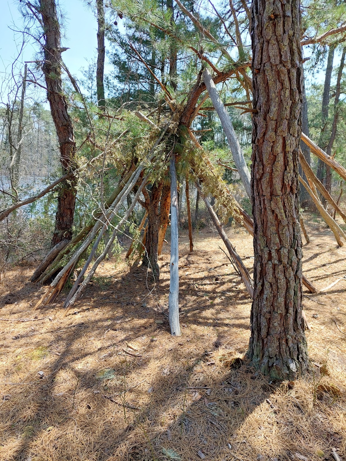 Crestwood Village 6