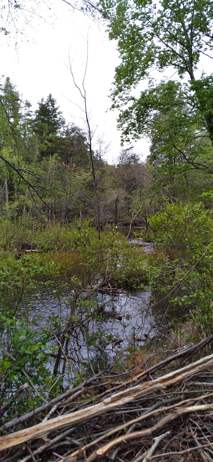 Crestwood Village 6