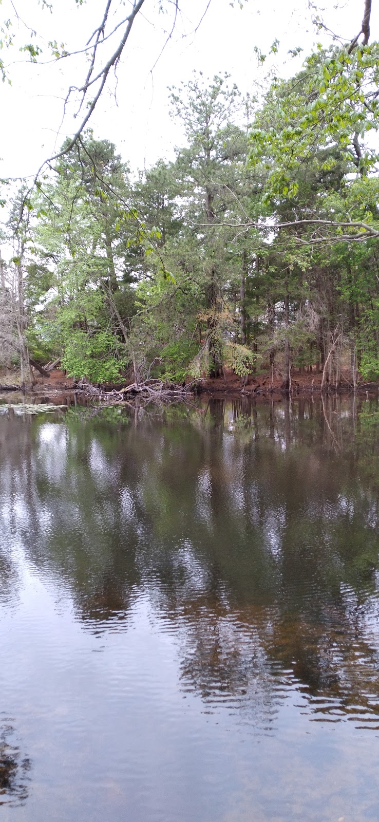 Crestwood Village 6