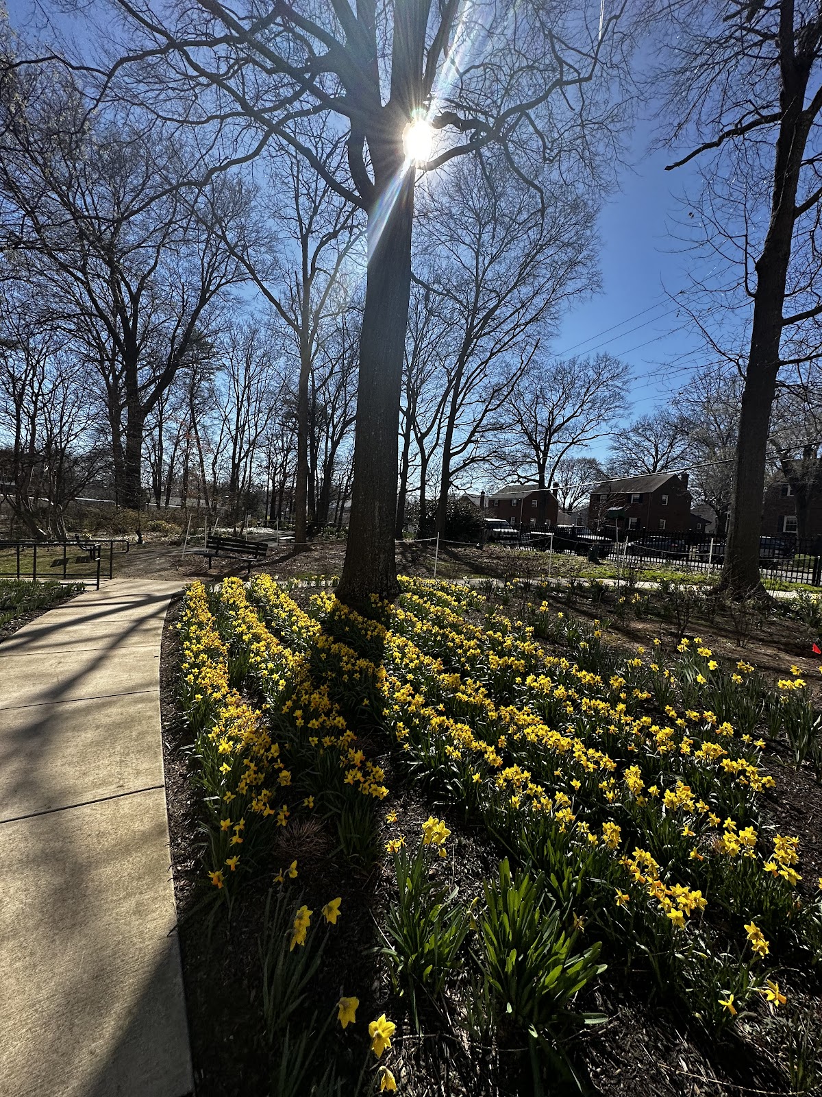 Culpepper Garden Apartments