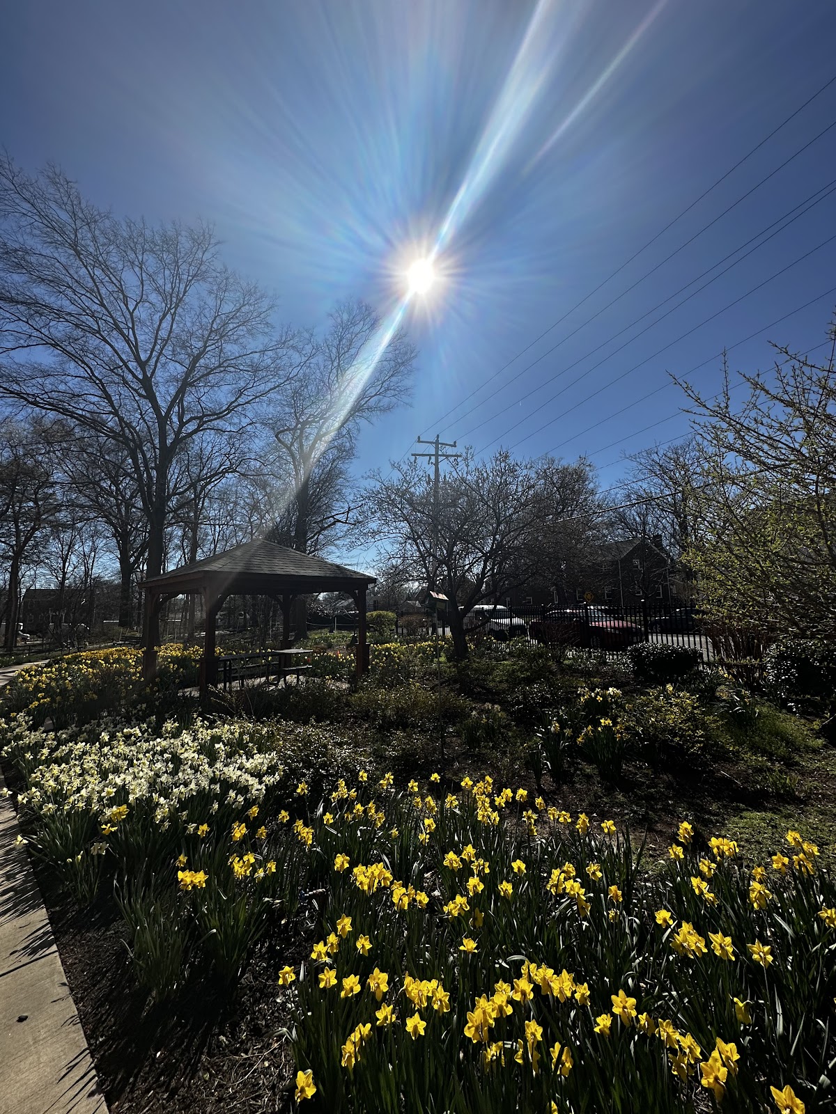 Culpepper Garden Apartments