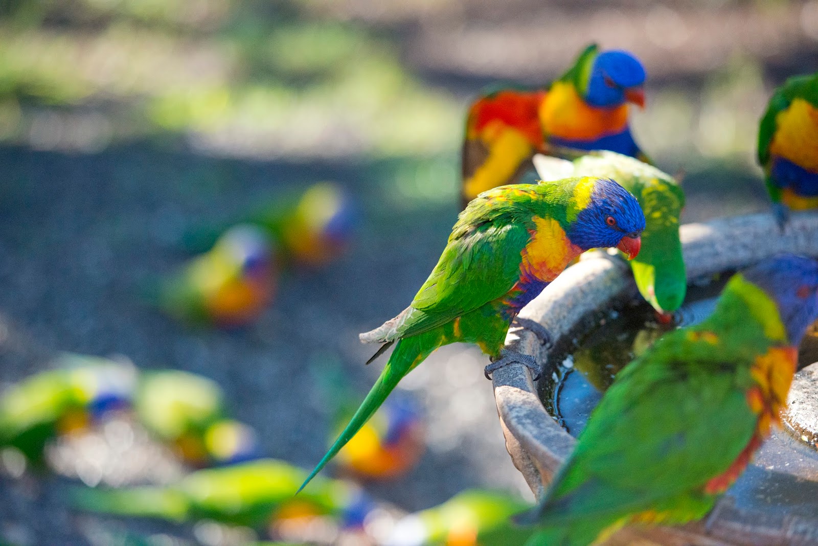 Symes Thorpe Residential Aged Care Home | Anglicare Southern Queensland - Rangeville
