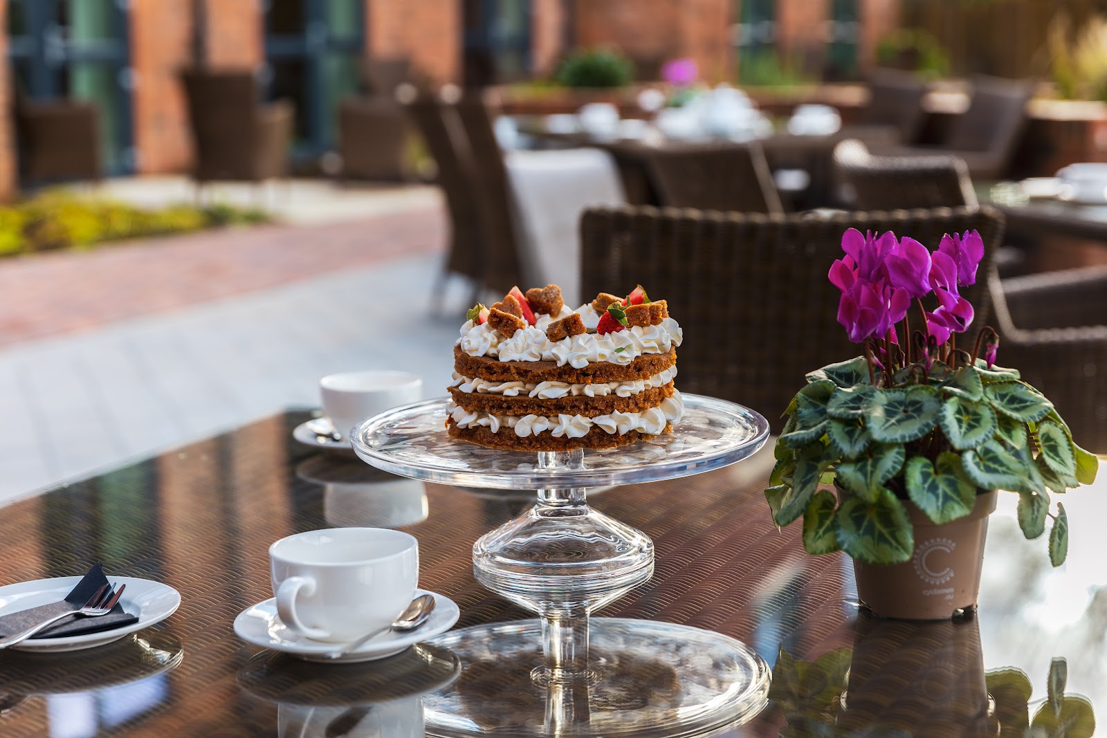 Barchester - Mill Court Care Home