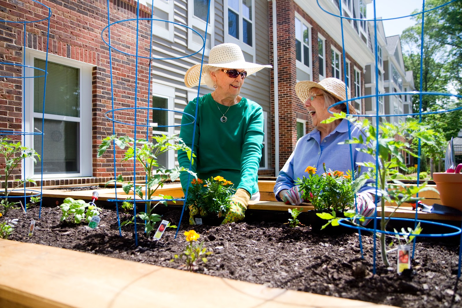 Brightview South River - Senior Assisted Living & Memory Care
