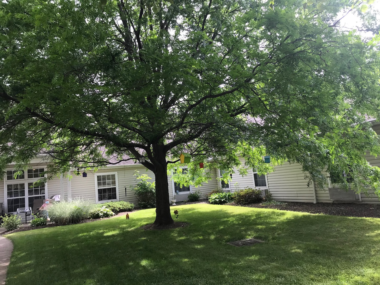 Brookdale Canton