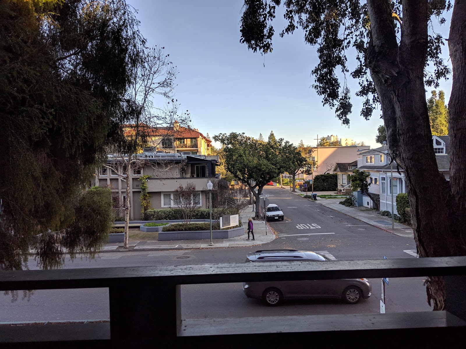 Lytton Gardens II