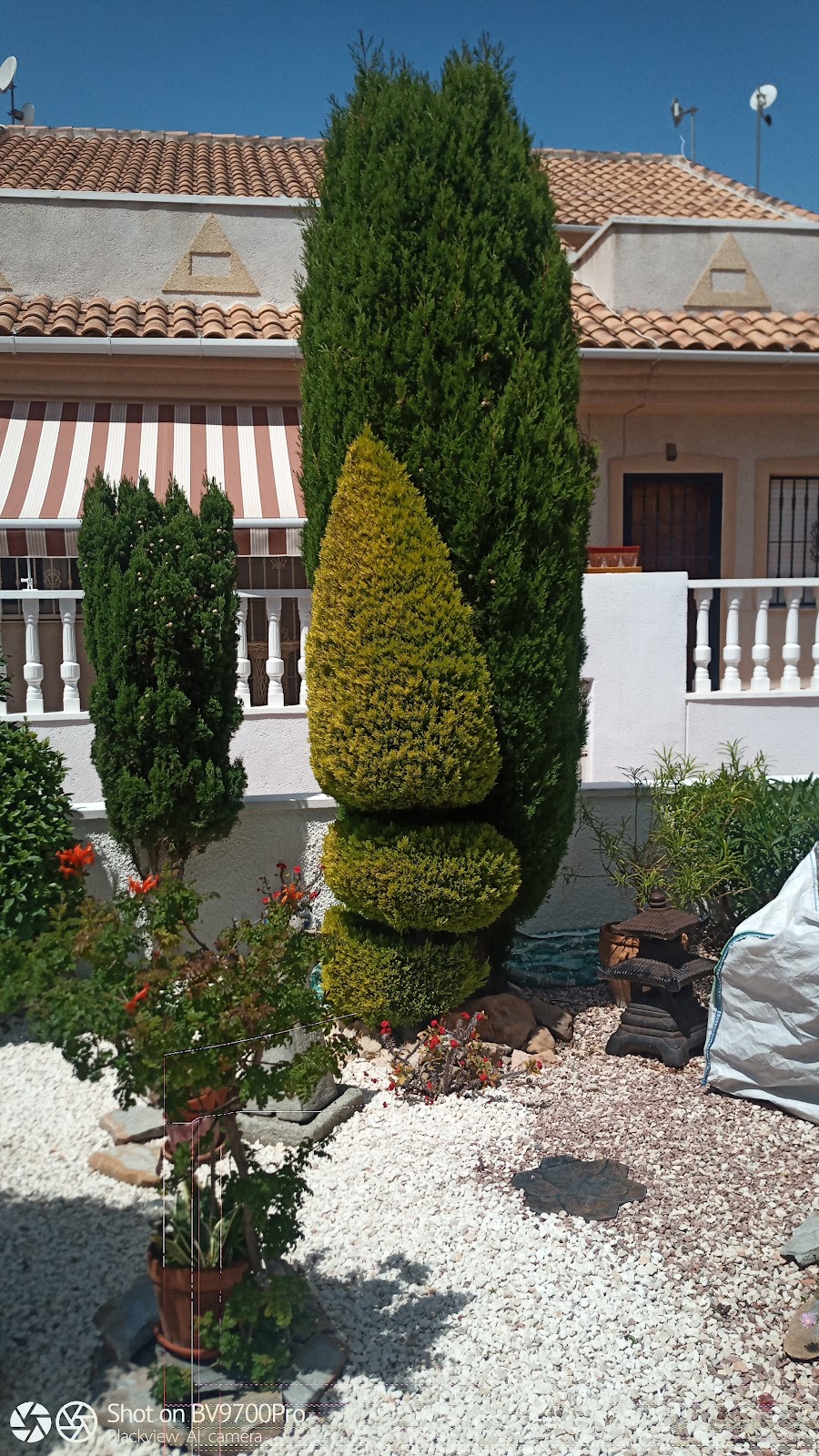 Altos De La Laguna