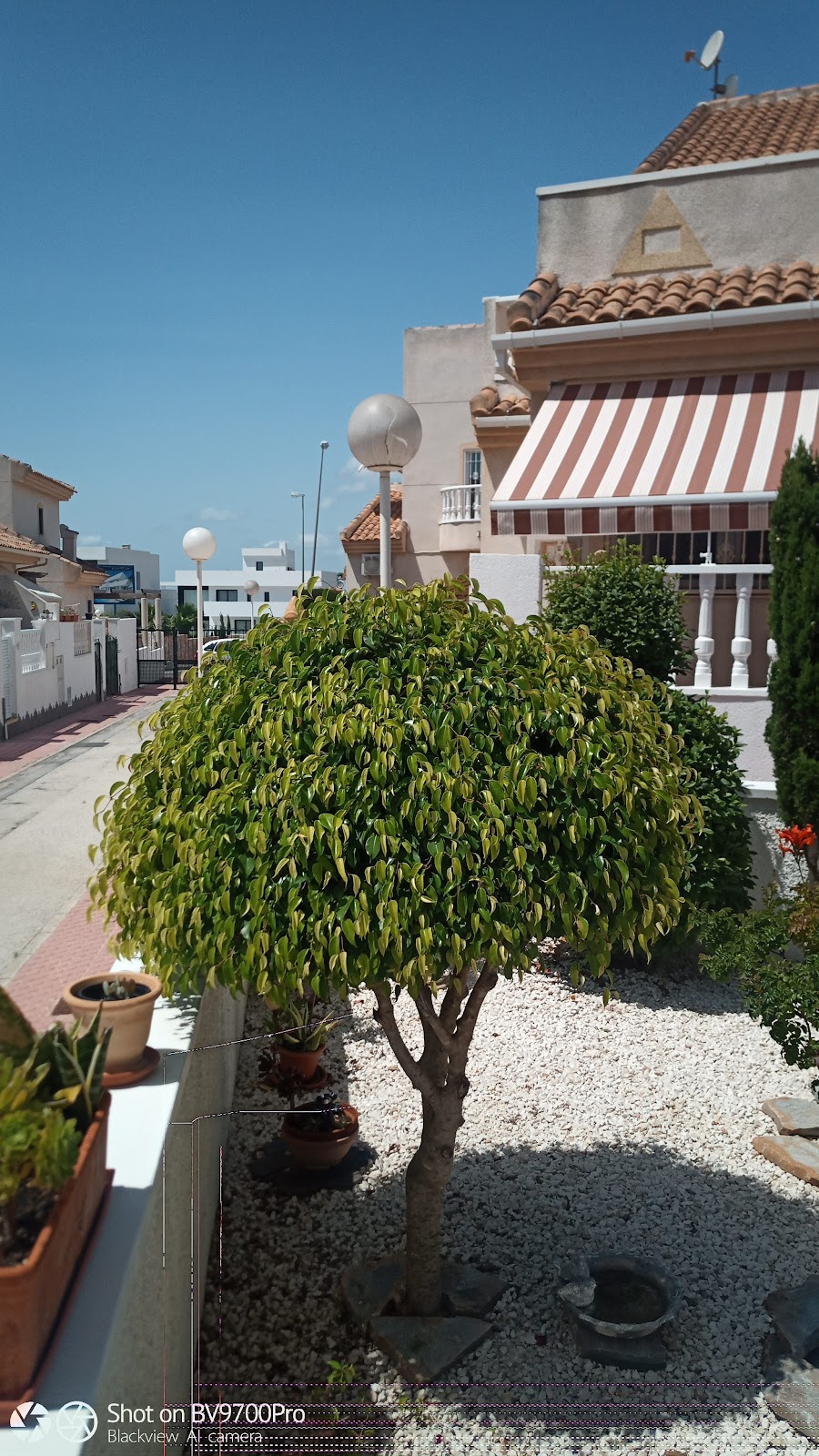 Altos De La Laguna