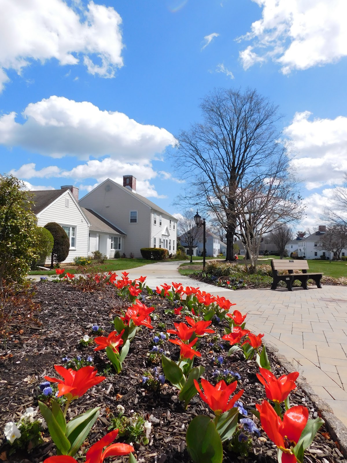 Rossmoor Adult Community